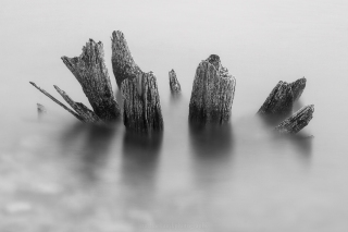 MG_5407-Edit