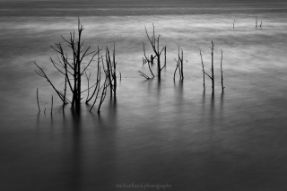 20220330-_DSC5059-Edit