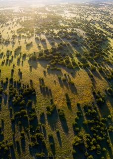 DJI_0292-Pano-1