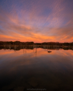 MG_3457-Pano